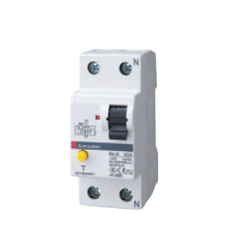 BV-D 2P 25A 300MA N